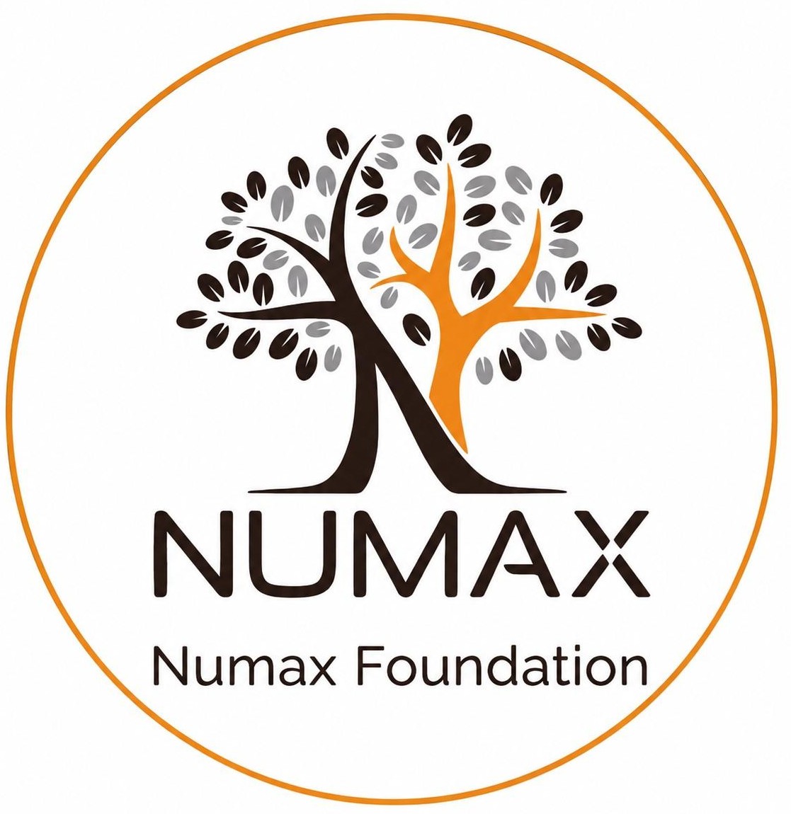 Numax Foundation Logo